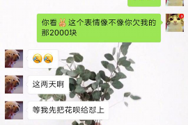 西双版纳要账公司